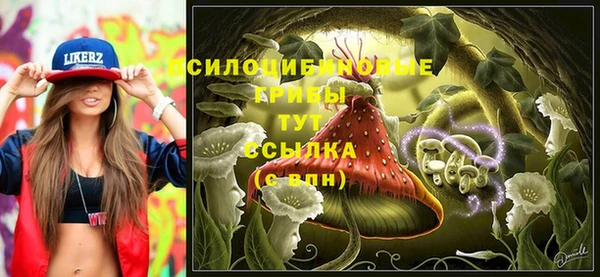 амф Новокубанск