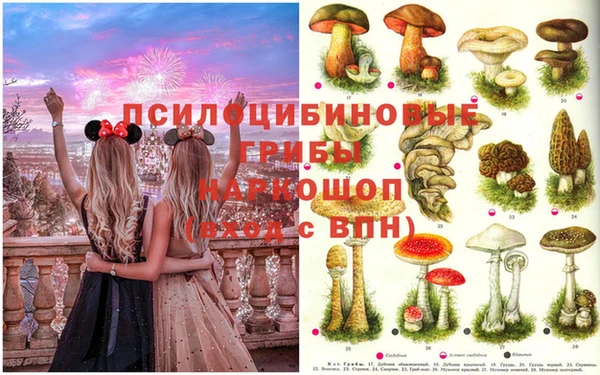 мдпв Абинск
